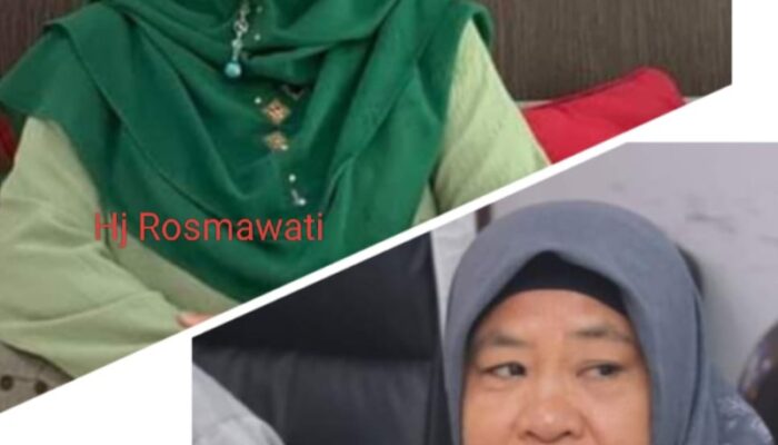 Perlu Satgas Lintas Kementerian Atasi Konten Pornografi Anak