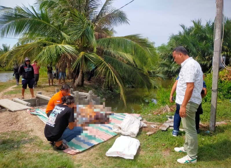 KANIT Reskrim Polsek Percut Seituan AKP Japri Simamora memperhatikan tim Inafis Polrestabes Medan mengidentifikasi kondisi jasad mayat tanpa identitas yang ditemukan terapung di Paluh Ibus Dusun 6 Desa Tanjung Rejo Kecamatan Percut Seituan, Sabtu (27/4). Waspada/Ist