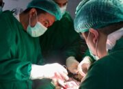 Balita Penderita Penyakit Langka Polimelia Berhasil Dioperasi Di RSUP H. Adam Malik