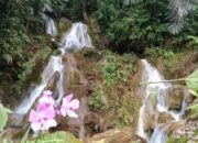 Keindahan Air Terjun Aek Sialang Di Desa Aekbargot, Potensi Wisata Yang Butuh Sentuhan