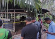 Peternak Ditemukan Tergantung Di Kandang Sapi