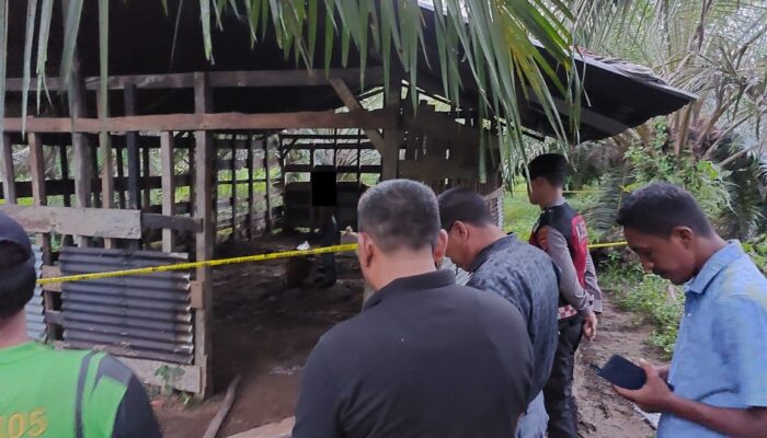 Peternak Ditemukan Tergantung Di Kandang Sapi