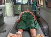 Petani Kritis Diserang Buaya