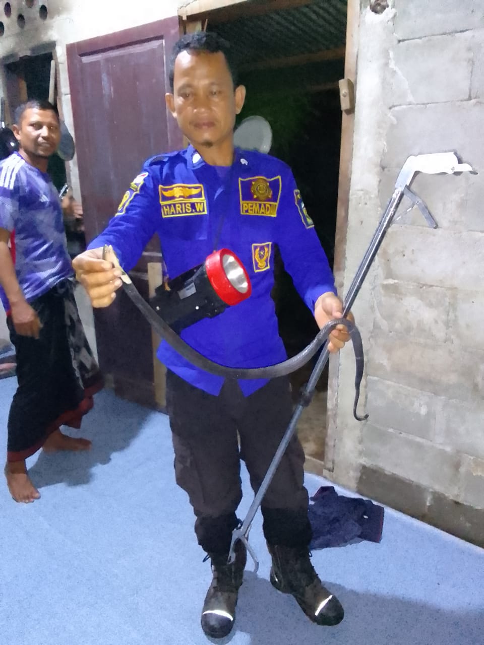 Petugas Damkar BPBD Aceh Besar Pos Lhoong mengevakuasi seekor ular jenis kobra di rumah warga Gampong (desa) Jantang, Kecamatan Lhoong, Kabupaten Aceh Besar, Sabtu (20/4) malam. (Waspada/Ist)