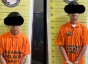 Polres Taput Ringkus 2 Tersangka Pengguna Ganja