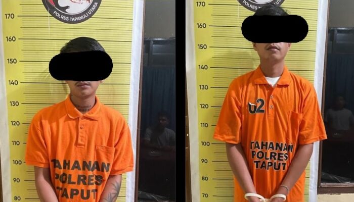 Polres Taput Ringkus 2 Tersangka Pengguna Ganja