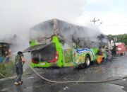 Bus Pariwisata Terbakar Di Simalungun, 48 Guru Dan Pelajar Selamat