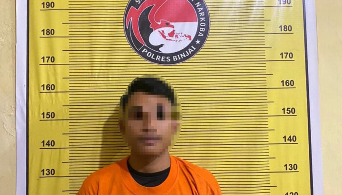 Pengedar Pil Ekstasi Ditangkap Polisi