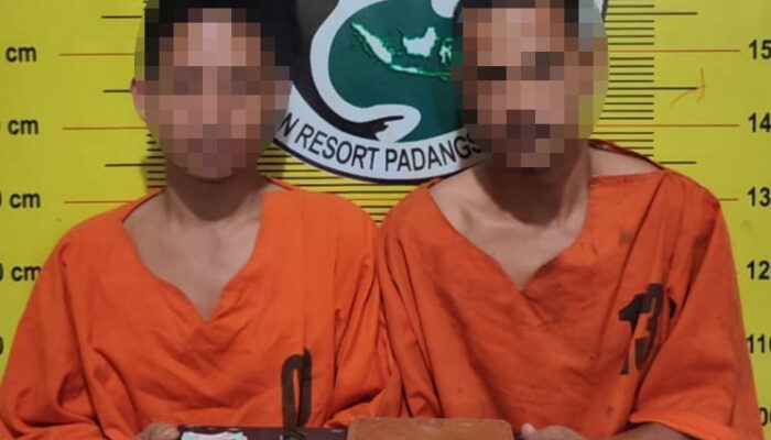 Miliki 158 Butir Ekstasi, Warga Palas Ditangkap Di Sidimpuan