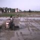 PETANI di Desa Tanjung Pasir, Kec. Pangkalansusu, sedang membajak sawah. Waspada/Asrirrais