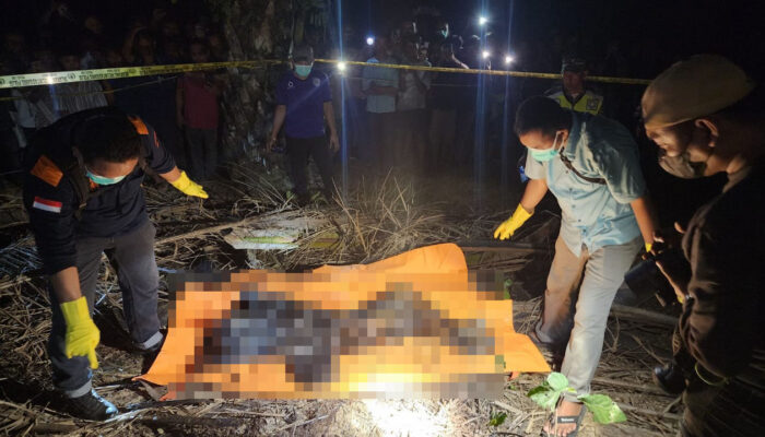 Mayat Wanita Ditemukan Membusuk Di Areal Perkebunan
