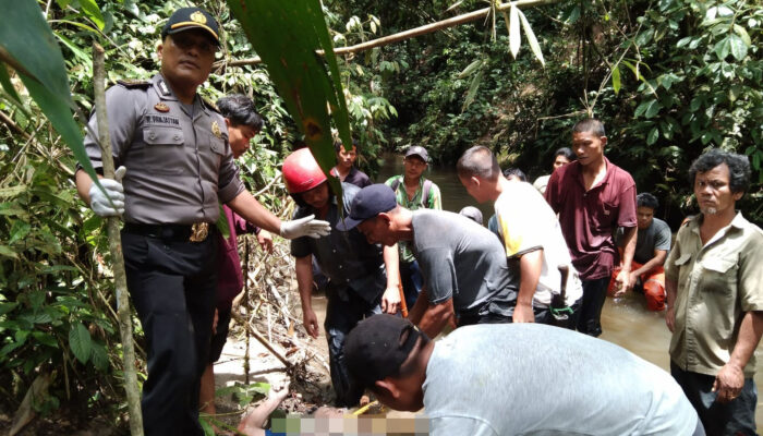 Tidak Pulang Hingga Malam, Harapan Gultom Ditemukan Tewas Di Sungai Aekpogos