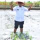 Wabup Simalungun, H Zonny Waldi saat menghadiri acara Launching Gerakan Tanam, mendukung program Ketahanan Pangan Nasional Tahun 2024 di Kabupaten Simalungun Wilayah Kodim 0207/SML, berlangsung di lahan pertanian padi sawah milik warga Nagori Silau Malaha, Kecamatan Siantar, Simalungun, Sumut, Selasa (2/4).(Waspada/ist)