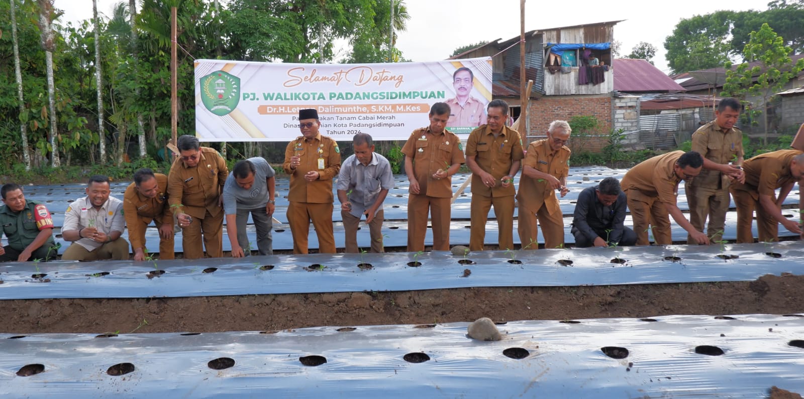 Pj. Wali Kota Padangsidimpuan Dr. Letnan Dalimunthe (6 kiri) bersama Kadis Pertanian Edi Darwan Harahap dan petani saat penanaman perdana cabai merah Kelurahan Hutaimbaru Kecamatan Padangsidimpuan Hutaimbaru, Senin (22/4). Waspada/ist.