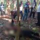 Personel Polsek Parapat saat mengevakuasi mayat Tumpal Pardamean Bakkara.(Waspada/ist)