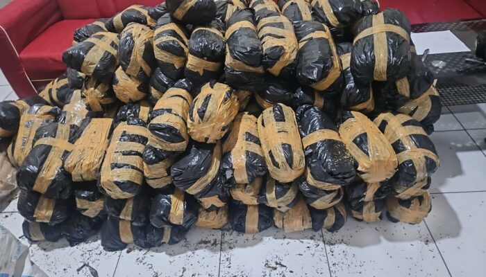 Polda Aceh Ungkap Kasus Narkotika, 300 Kg Ganja Siap Edar Diamankan