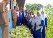 SMPN 5 Seunagan Bercocok Tanam Untuk Ketahanan Pangan