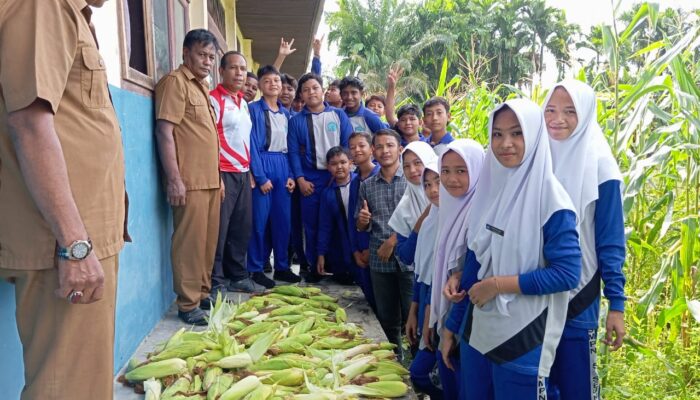 SMPN 5 Seunagan Bercocok Tanam Untuk Ketahanan Pangan