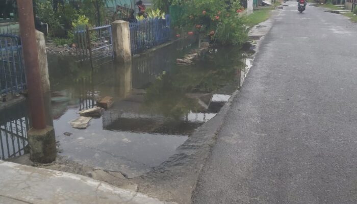 Hujan Deras, Rumah Warga Di Brandan Timur Tergenang