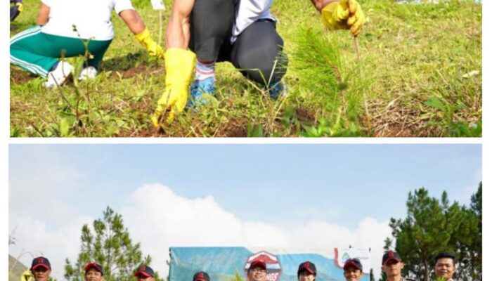 BPODT Dan Masyarakat Tanam Pohon