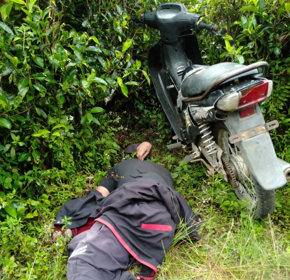 Pensiunan BUMN Ditemukan Meninggal Di Kebun Teh Sidamanik