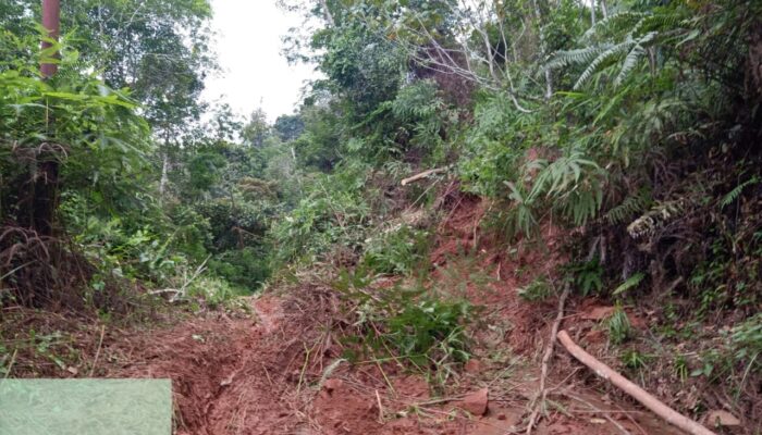 Di Mandailing Natal, Banjir Dan Longsor Putus Akses Menuju 6 Desa