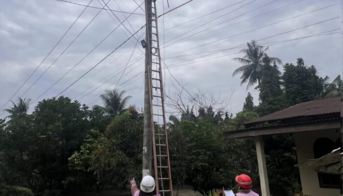 Cynthia, Sosok Tangguh Srikandi PLN Turut Andil Menjaga Keandalan Listrik
