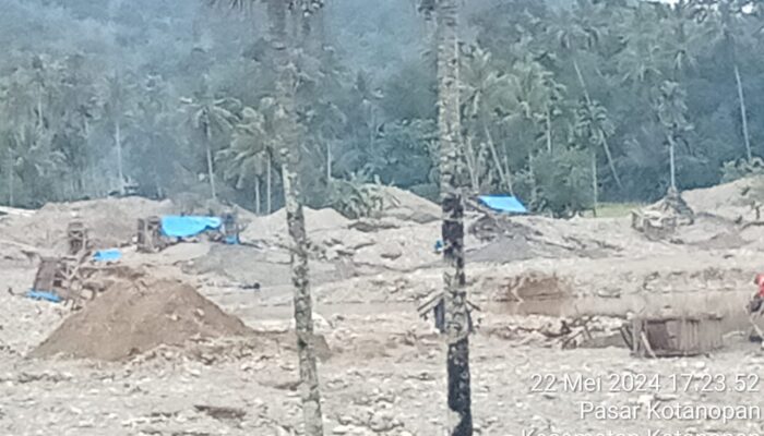 PETI Kotanopan Diduga Beroperasi Kembali