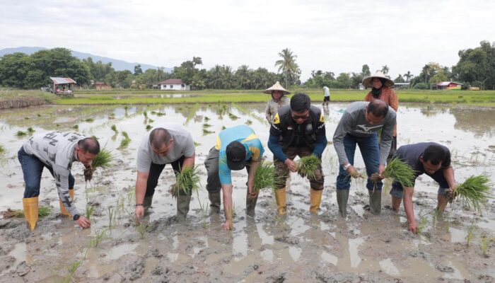 Tekan Inflasi Di Aceh Besar; Pj Bupati – Danlanud SIM Tanam Padi Bersama
