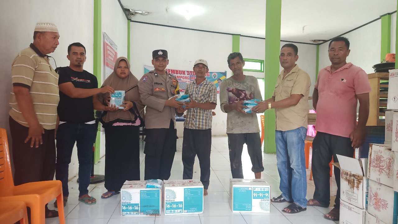Seratusan Petani Mesjid Abdya Terima Bantuan Pupuk Seratusan Petani Mesjid Abdya Terima Bantuan Pupuk