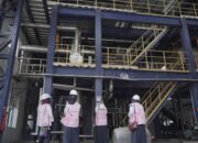 Potensi EBT Meningkat, Srikandi PLN UP3 Medan Utara Tinjau Lokasi PLTBm
