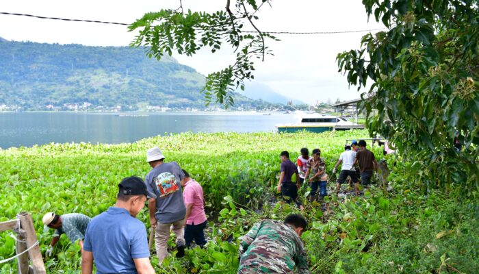 Koramil 03/Pangururan Gelar Kebersihan Eceng Gondok Di Danau Toba