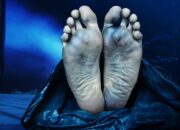 Dua Pendulang Emas Tradisional Pidie Diduga Tewas Tertimpa Pohon