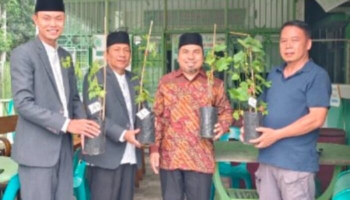 P2WP MUI Sumut Terima Wakaf Produktif Budidaya Anggur