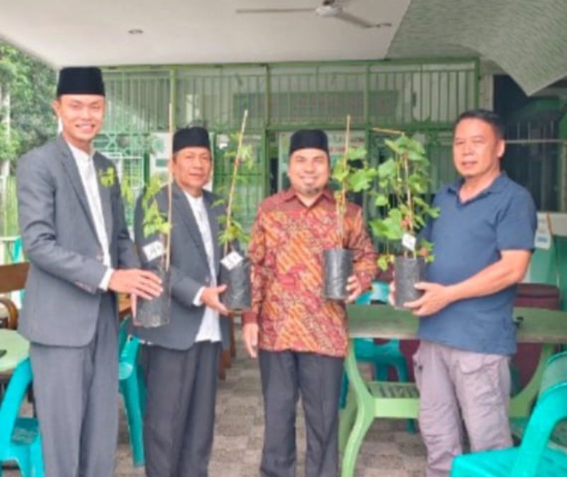 P2WP MUI Sumut Terima Wakaf Produktif Budidaya Anggur