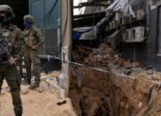 Tentara Israel Diserang Ratusan Tawon, 12 Orang Dilarikan Ke RS