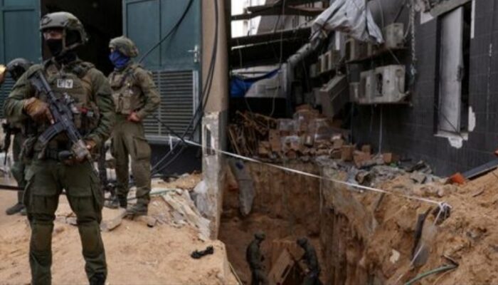 Tentara Israel Diserang Ratusan Tawon, 12 Orang Dilarikan Ke RS