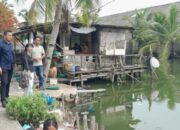 UMKM Sumut, Kadis Ketapang Pertanian Perikanan Dan Camat Medan Labuhan Tinjau Rencana Lokasi Wisata Baru Di Nelayan Indah