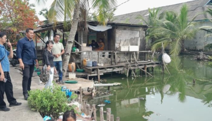 UMKM Sumut, Kadis Ketapang Pertanian Perikanan Dan Camat Medan Labuhan Tinjau Rencana Lokasi Wisata Baru Di Nelayan Indah