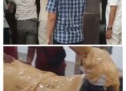 Poldasu-Kodam I/BB Amankan Dua Truk Muatan Barang LN