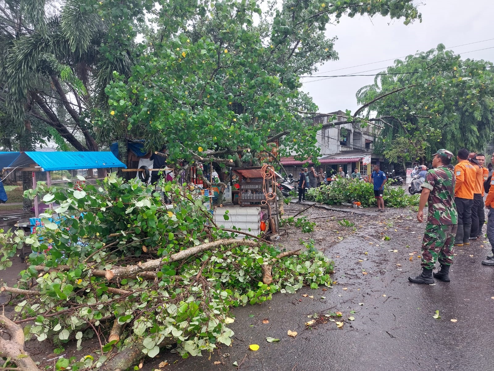 Pohon Tumbang Timpa Kios