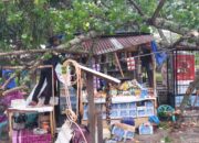Tim BPBD, DLH, TNI/Polri saat membersihkan puing-puing pohon tumbang yang menimpa kios di Jalan A Yani depan Stadion Langsa, Gampong Paya Bujok Seuleumak, Kecamatan Langsa Baro, Kamis (2/5).Waspada/Rapian