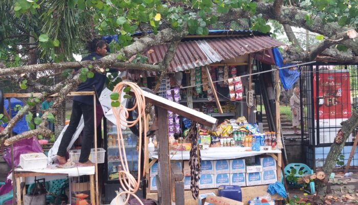 Pohon Tumbang Timpa Kios