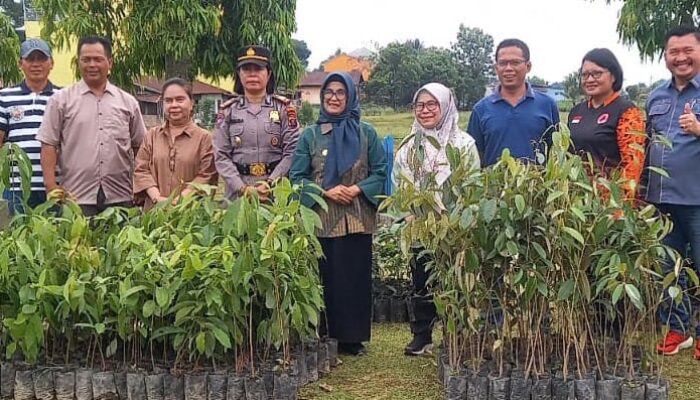 Wali Kota Bersama USAID IUWASH Tangguh Tanam Pohon Di Waduk Perumda Tirtauli