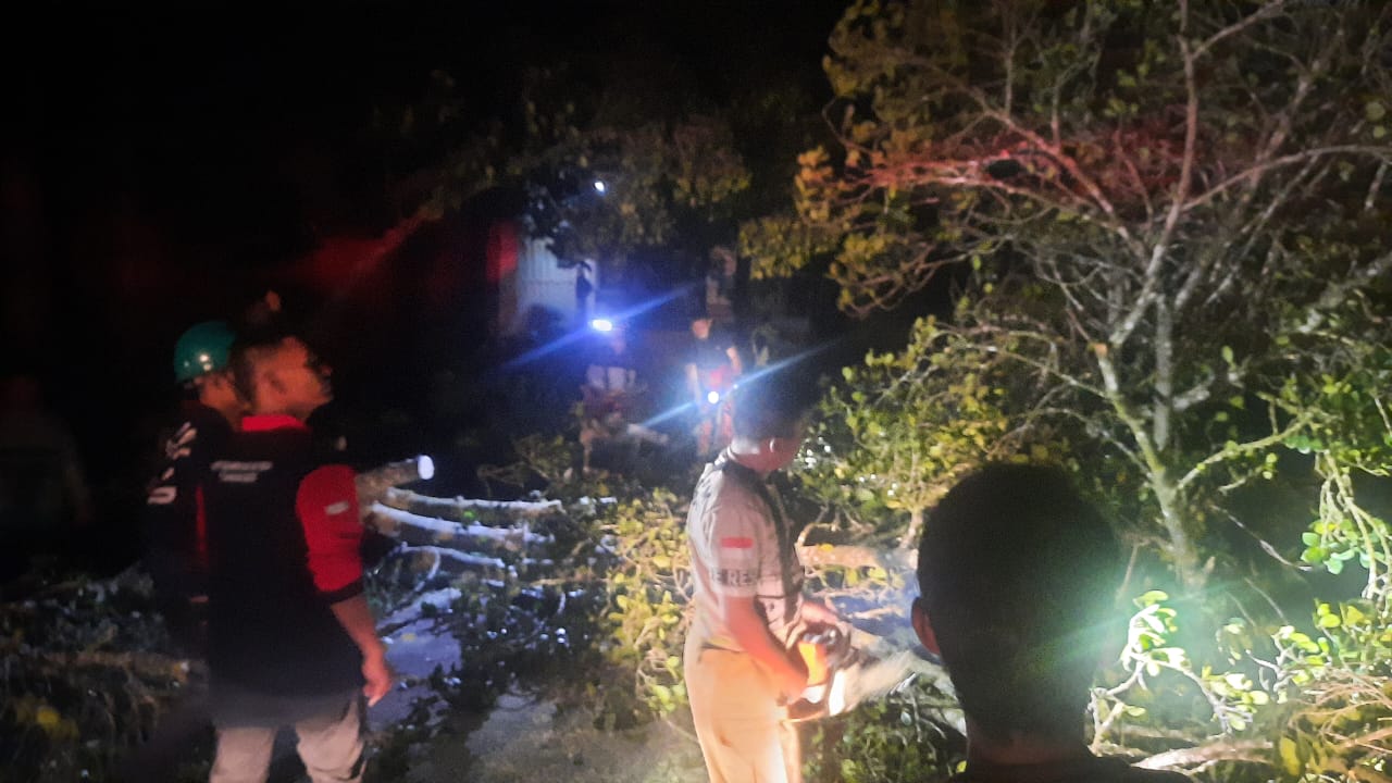 Pohon nangka patah ke badan jalan antardesa, kawasan Gampong (desa) Tumbo Baro, Kecamatan Kuta Malaka, Aceh Besar, yang mengakibatkan listrik padam di kawasan Samahani, Selasa (21/5) malam. (Waspada/Ist)
