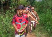 Gajah Liar Injak Hingga Tewas Warga Agara