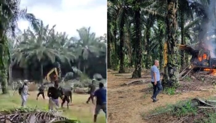 Akibat Sengketa Lahan, Karyawan PT ANJ Agri Dan PT SSL Bentrok
