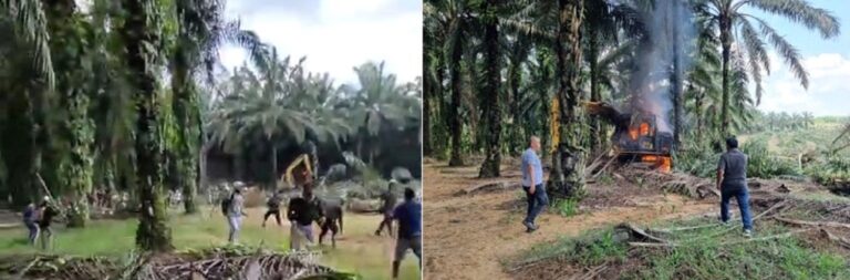 Sengketa lahan yang berujung bentrok antara karyawan perusahaan PT ANJ Agri dan PT SSL. (Waspada/Ist)