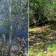 Lahan milik Ulayat Kemukiman Lampuuk, di Gampong (desa) Meunasah Lambaro Lampuuk, Kecamatan Lhoknga, Kabupaten Aceh Besar, terbakar, Rabu (29/5). (Waspada/Ist)