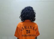 SP alias E, 37, alamat Jalan Patuan Anggi, Kampung Kelapa, Kelurahan Pancuran Gerobak, Kecamatan Sibolga Kota, Kota Sibolga ditahan Unit Reskrim Polsek Sibolga Sambas karena kasus pencurian cabai merah. Waspada/ist
